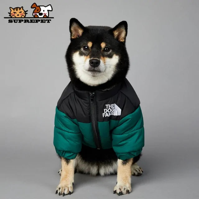 Schöne The Dog Face Winterjacke